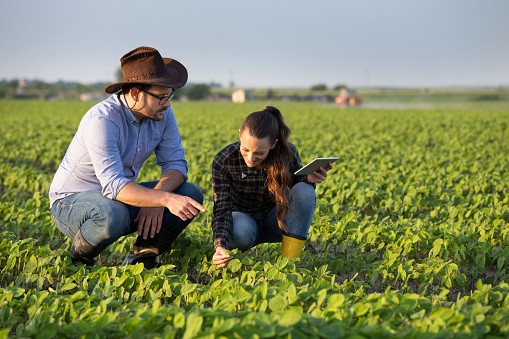  Comércio on-line de produtos agrícolas