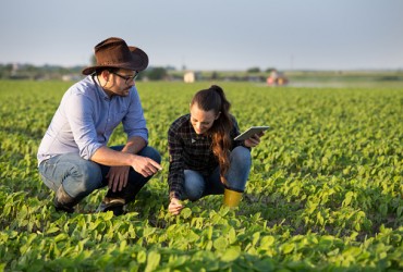 Comércio on-line de produtos agrícolas