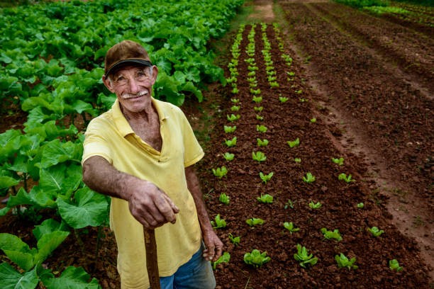  O Homem do Campo