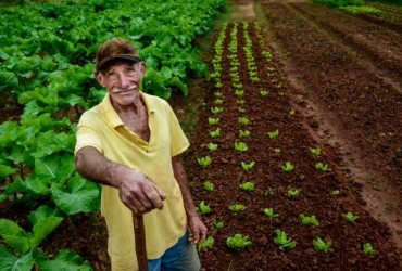 O Homem do Campo