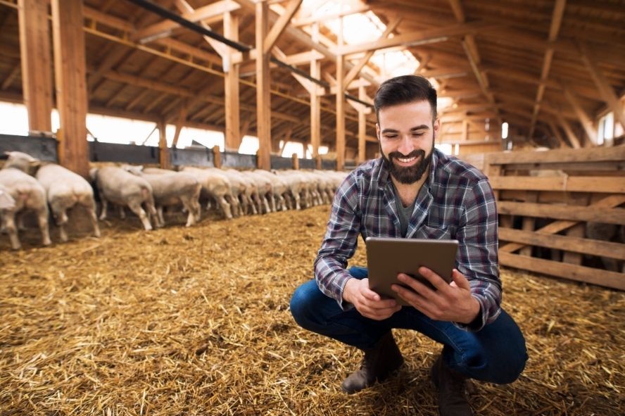  Vendas no agronegócio: investimento no setor cresce em 2022