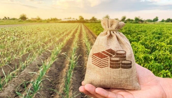  CAMPIÃO: é a sua ferramenta para negociar e vender