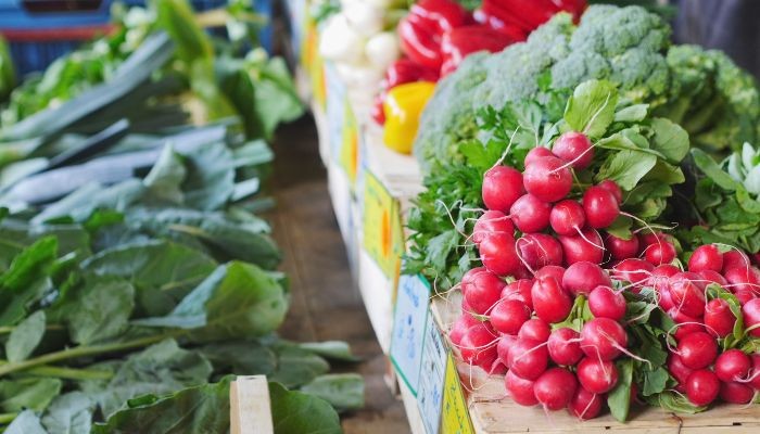  Atuação do marketing tradicional e a capacidade de vendas no agronegócio