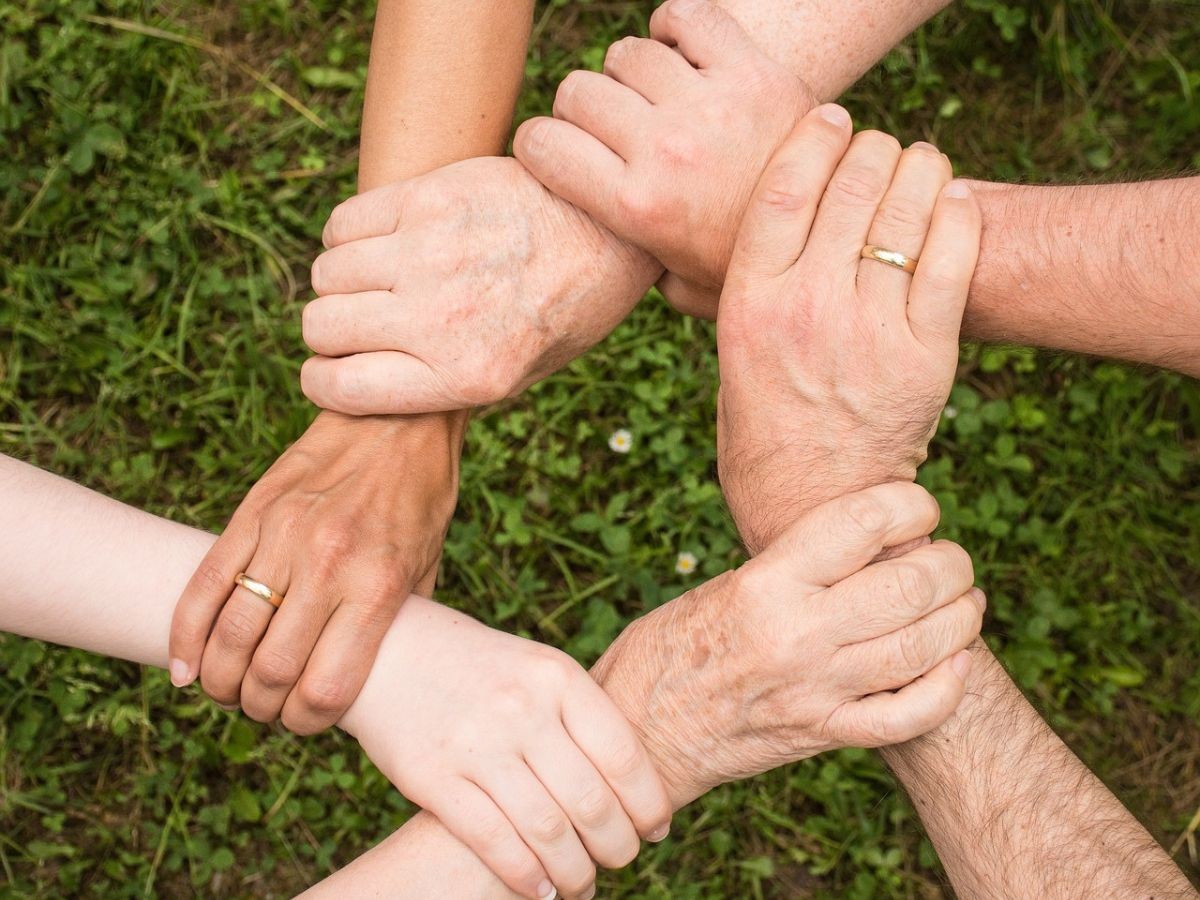  AGRICULTURA FAMILIAR: COMO SUPERAR E PROSPERAR!